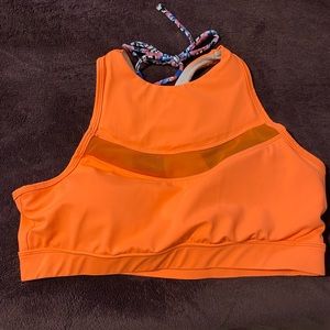Chestee the Brittany swim top